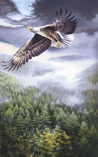 Bird Paintings, Wildlife Paintings ~ Wildlife Art ~ Animal Paintings & Animal Artwork~ Paintings of Wildlife ~ Smoky Mountains Tennessee