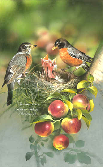 Birds Oil Paintings
