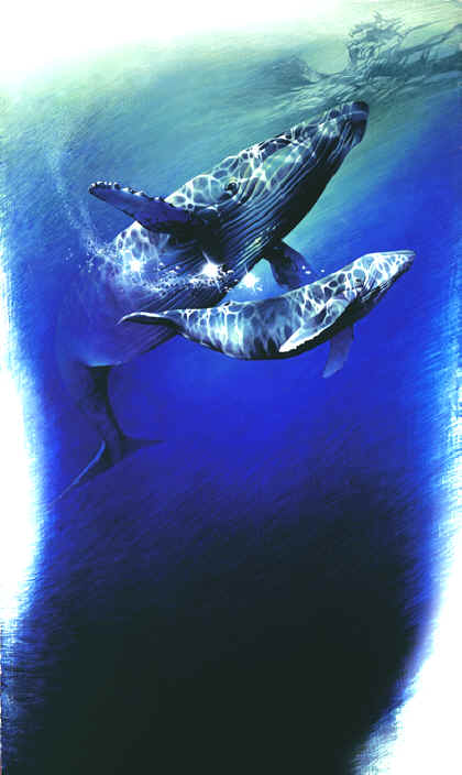 Art Whales