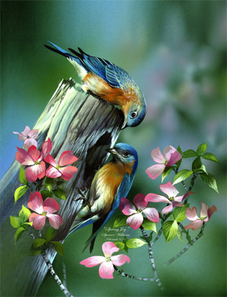 Bird Painting ~ Animal Paintings ~ Wildlife Art ~ Animal Paintings & Animal Artwork~ Paintings of Wildlife ~ Smoky Mountains Tennessee