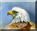 eagle portrait painting