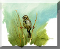 perched sparrow painting