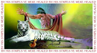 By his stripes ye are healed.
