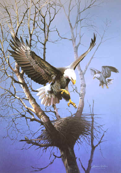 eagle paintings, paintings of eagles, eagle artwork,eagles